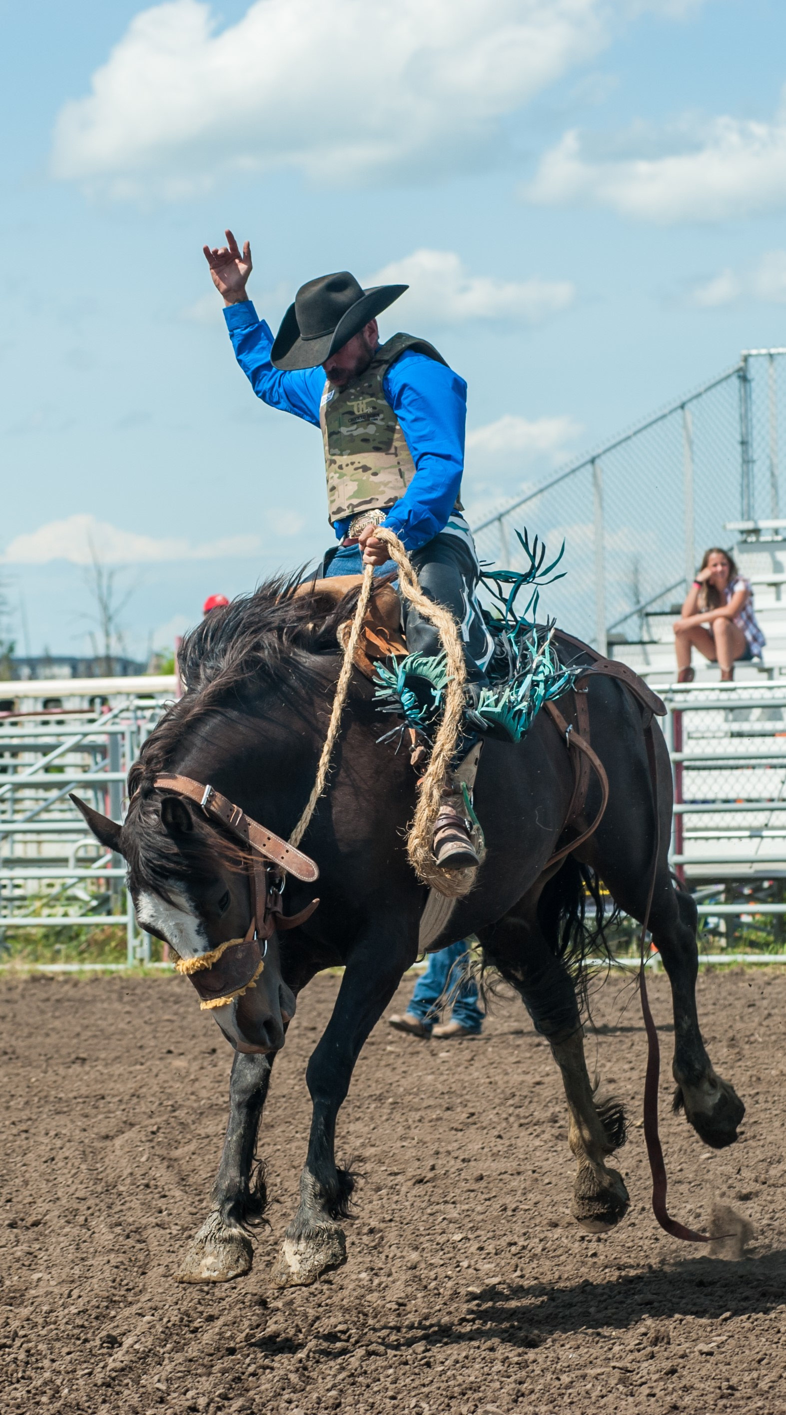 The Rodeo