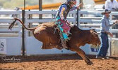 Ladies Steer Riding