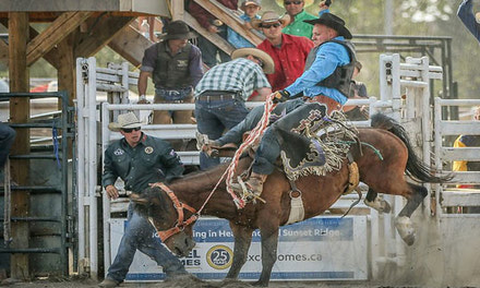 Saddle Bronc